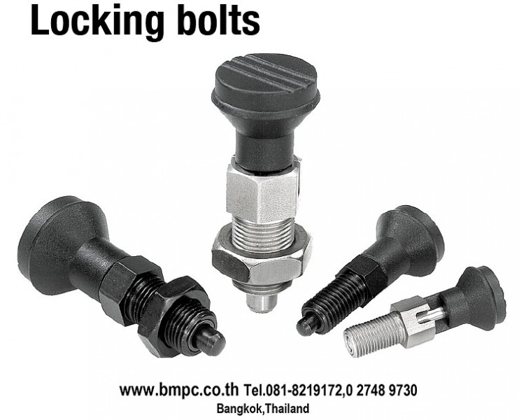 Locking bolt, Indexing plunger, Plunger with pin, สลักล๊อกตำแหน่ง, Plug index, ball plunger