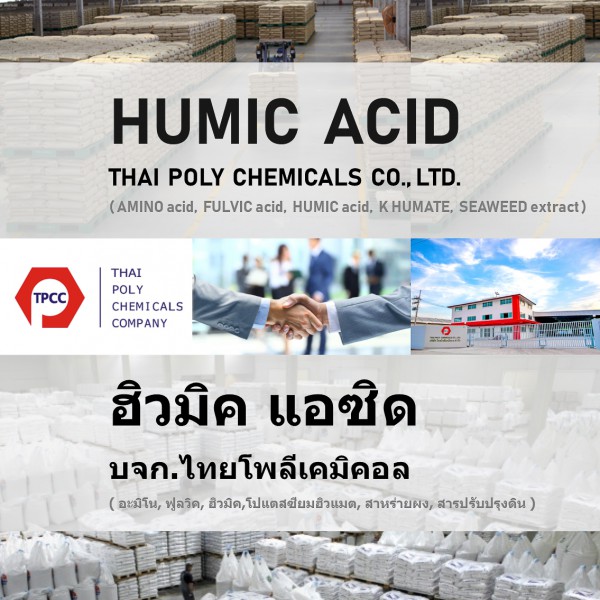 กรดฮิวมิค, Humic Acid, ฮิวมิคแอซิด, ฮิวมิกแอซิด, ปุ๋ยฮิวมิค, ปุ๋ยฮิวมิก                                          จัดจำหน่าย โดย บริษัท ไทยโพลีเคมิคอล จำกัด สอบถามข้อมูลผลิตภัณฑ์เพิ่มเติม ได้โดยตรงที่ บริษัท ไทยโพลีเคมิคอล จำกัด (ส่วนการตลาด กรดฮิวมิค) Tha