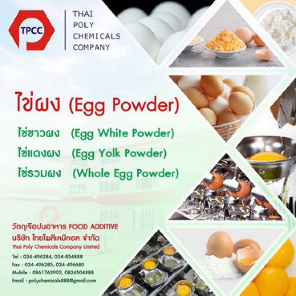 ไข่ขาวอัลบูเมน, Egg Albumen Powder, จำหน่ายไข่ขาวอัลบูเมน, ขายไข่ขาวอัลบูเมน, ผลิตไข่ขาวอัลบูเมน, นำเข้าไข่ขาวอัลบูเมน, ส่งออกไข่ขาวอัลบูเมน
