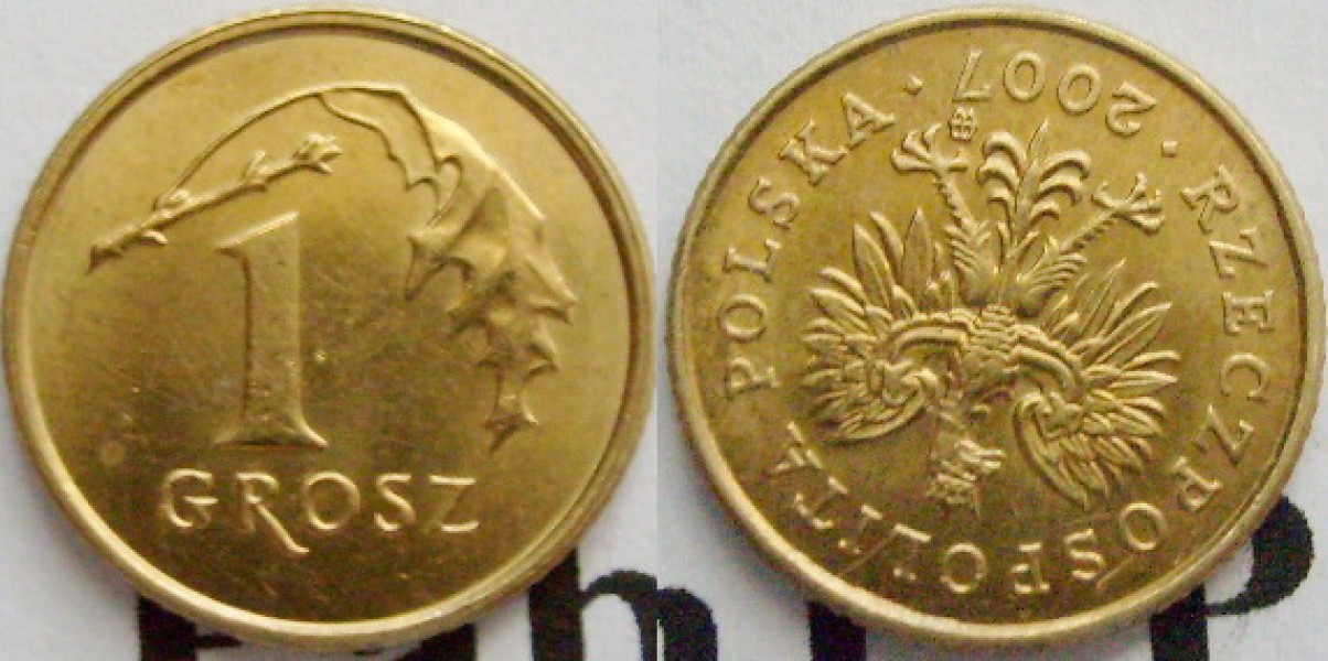 เหรียญประเทศโปแลนด์ Poland 1 grosz ปี 2007