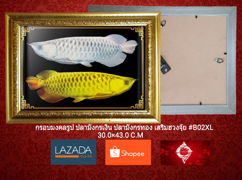 กรอบมงคลรูป ปลามังกรเงิน มังกรทอง #B02XL