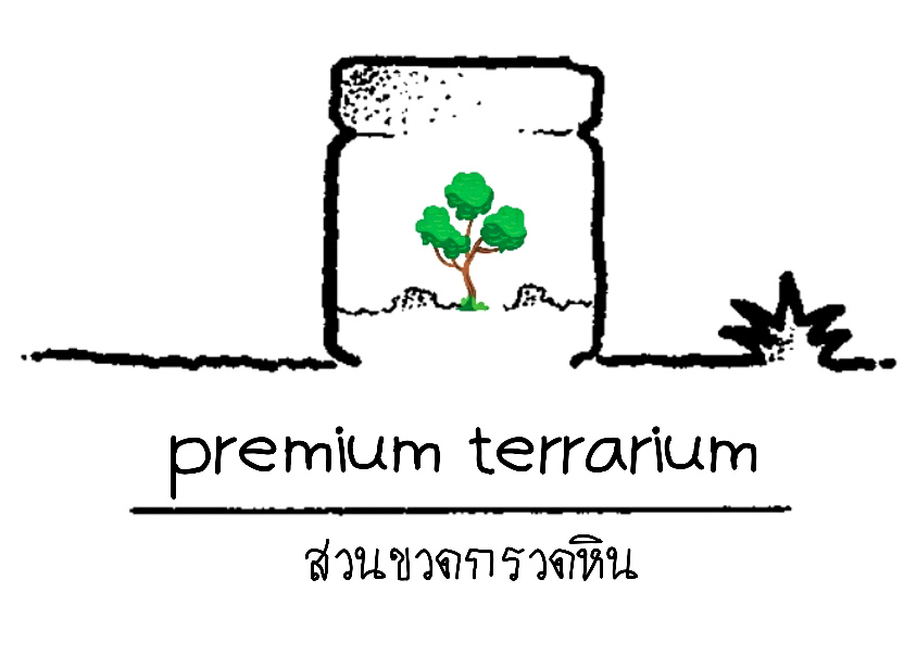 สวนขวดกรวดหิน premium terrarium