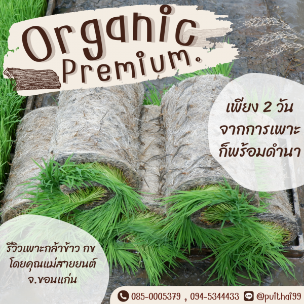 สารบำรุงดิน Organic Premium